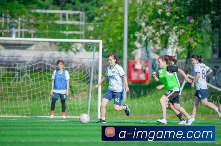 多媒体互动体验